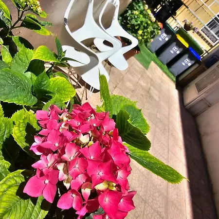Prestige Guest house *