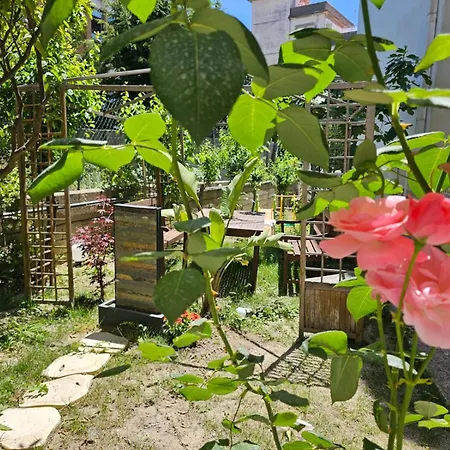 Prestige Casa de hóspedes 3*